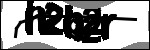 متن برای شناسایی