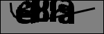 متن برای شناسایی